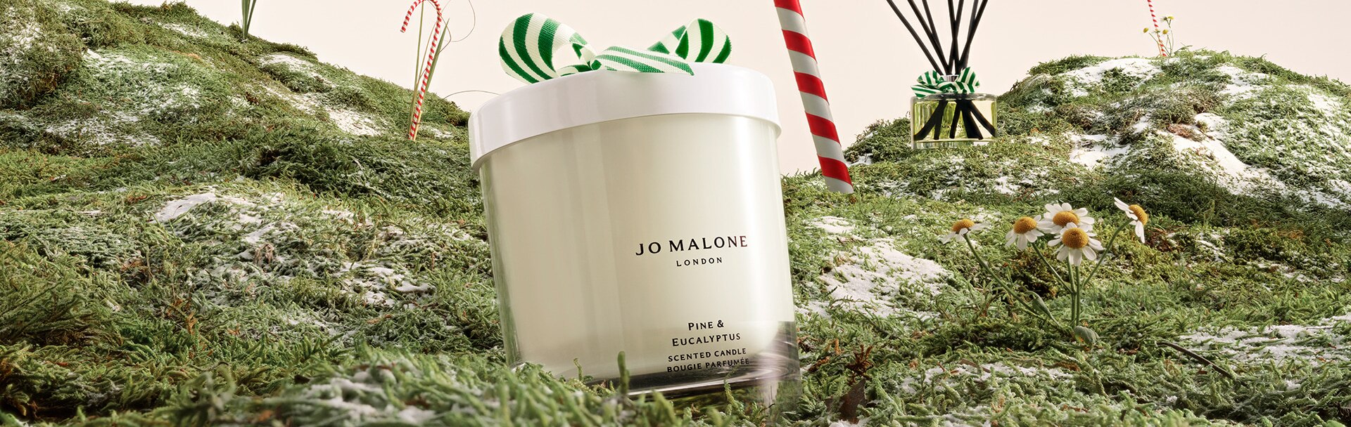 Jo Malone London Pine and Eucalyptus Home Candle and Diffuser on a bed of moss with candy canes